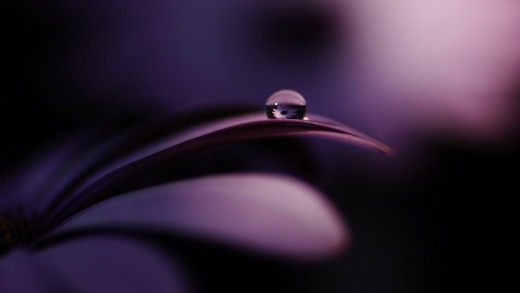 911000 (a): :1920x1080